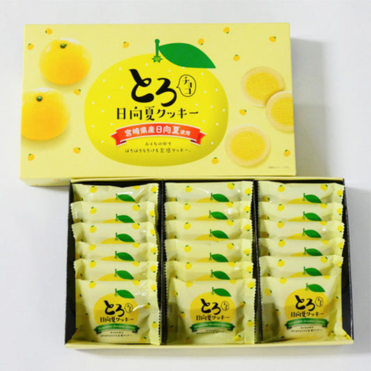 とろチョコ日向夏クッキー(18枚入り)