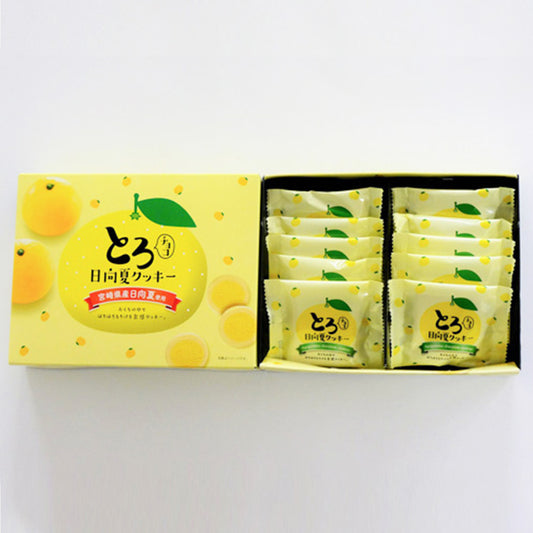 とろチョコ日向夏クッキー(10枚入り)